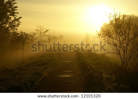 Foot path in the foggy morning