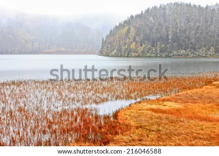 Scene of nature in Pudacuo(Potatso) national park  in the Shangri-La(Zhongdian), Yunnan, China.