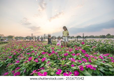 Bangkok, Thailand - December 10,2014 : Thai people visiting the King Rama 9 park at sunset in Bangkok,Thailand.The park was a gift to His Majesty king in the southeast of the town.