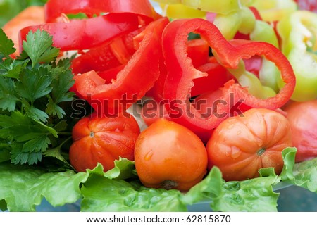 Healthy vegetables (pepper, tomato, lettuce, parsley) on a plate.