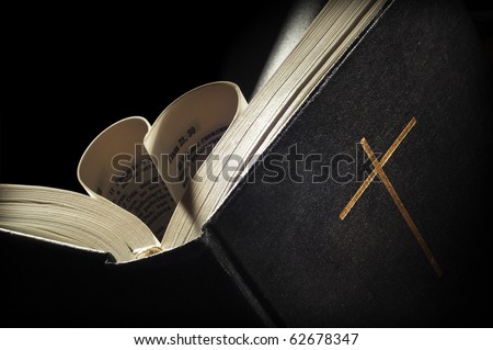 pages of a bible curved into a heart shape