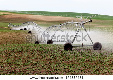 An early morning view of a center pivot sprinkler system in a farm field.