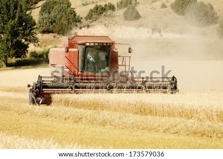 Ririe, Idaho, USA Aug. 8, 2011  Farm machinery harvesting wheat on a summer day in the fertile farm fields of Idaho.