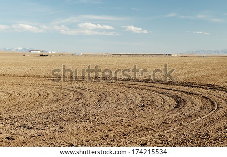 farm machinery tracks in a freshly planted wheat field.