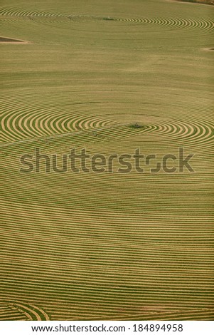 An aerial view of hay being harvested
