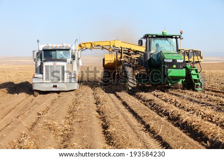 Rexburg, Idaho, USA 9 Oct. 2012 Farm machinery harvesting potatoes in the fertile farm fields of Idaho.