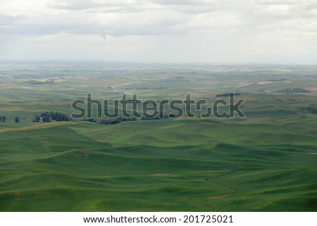 The green rolling farm fields of the Palouse valley in eastern Washington state.