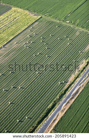 Aerial image of freshly harvested hay, baled and ready for storage, soft focus