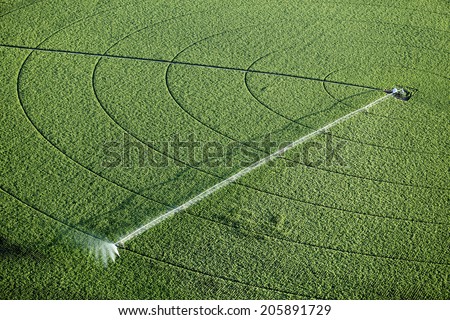 An aerial view of an agricultural sprinkler in a potato field