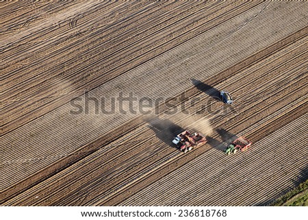 Shelly, Idaho, USA 10 Sept, 2014- An aerial view of farm machinery in the field harvesting potatoes.  The potatoes are dug by a combine, and trucked to a cellar for winter storage.