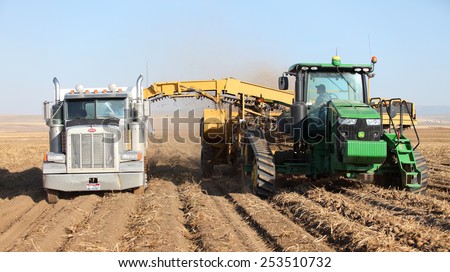 Rexburg, Idaho, USA Oct. 9, 2012- Farmers and field hands use farm machinery in the field harvesting potatoes.