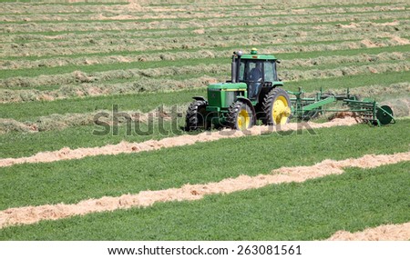 Idaho Falls, Idaho, USA June 30, 2014 A tractor works in an alfalfa field windowing hay in the fertile farm fields of Idaho.