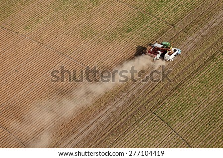 Fort Hall, Idaho, USA Aug. 8, 2012 An aerial view of farmers using farm machinery in the field to harvest potatoes.  The potatoes are dug by a potato combine, and taken to a cellar for winter storage.