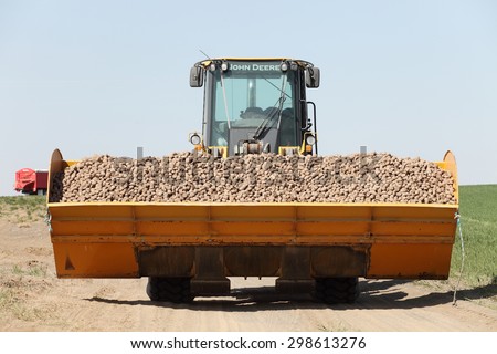 Fort Hall, Idaho, USA, Apr. 21, 2015  A front end loader filled with potato seed ready to load into a potato harvester, to be planted in the fertile farm fields of Idaho.