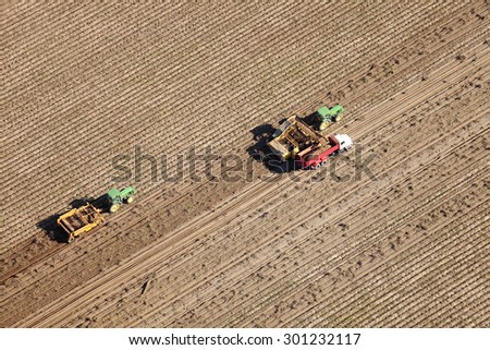 Shelly, Idaho, USA 3 Oct., 2014- An aerial view of farmers using farm machinery in the field to harvest potatoes.  The potatoes are dug by a potato combine, and taken to a cellar for winter storage.
