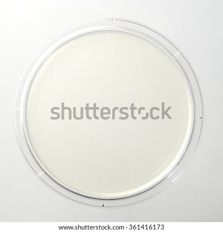 A new petri dish with clear media for creating bacterial cultures.