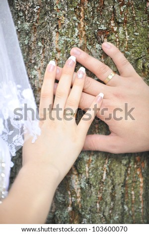 bride and groom hands on  trunk of  tree close up