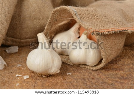Open jute sack with ripe garlic  on wooden board