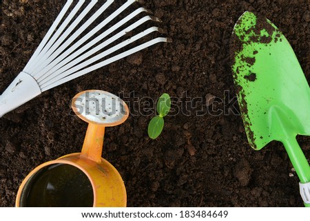 Gardening tools,watering can, plants and soil