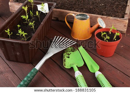 Gardening tools, plants and soil on  wooden table.