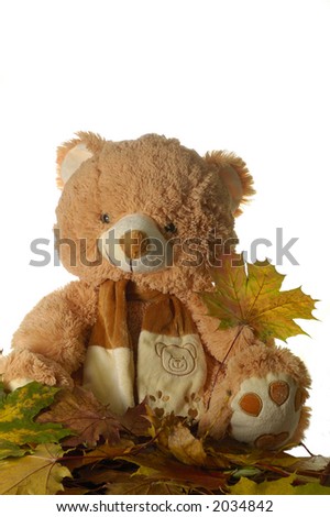 toy bear holding yellow leaf
