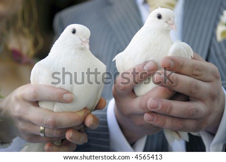 Doves Holding