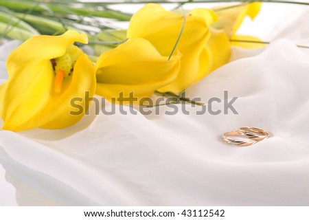 stock photo yellow calla lilies and wedding rings isolated on white silk