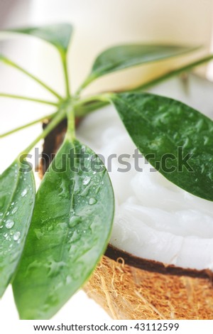 broken ripe coconut and leaves on white close up
