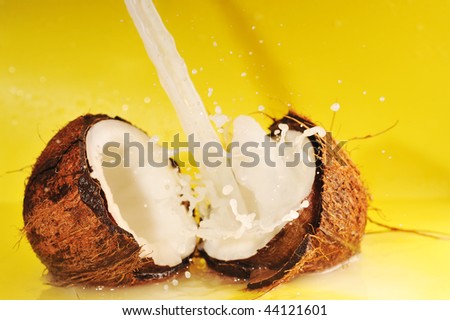 Coconut with coconut milk splash on yellow close up