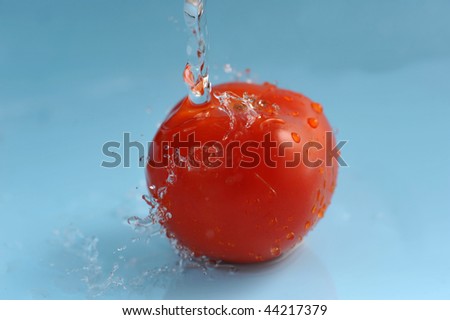 Tomato and water splashes on  blue close up