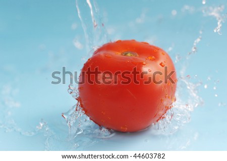 Tomato and water splashes on  blue close up