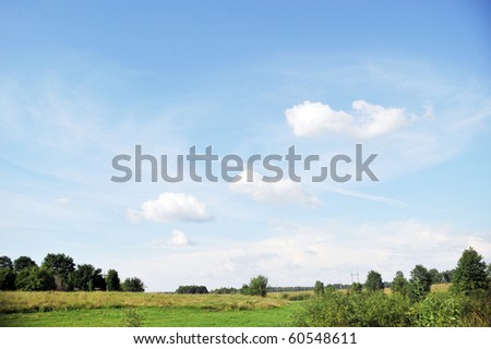 meadow and trees. summer  landscape