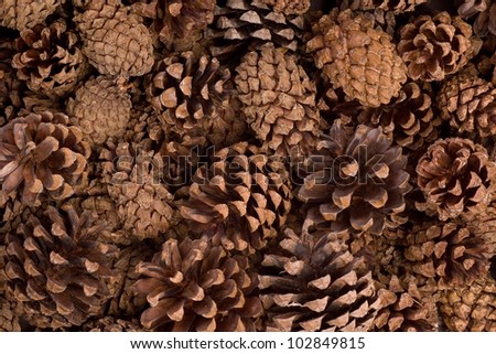full frame photo of cones