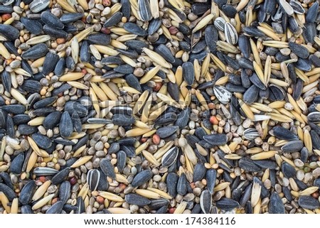 Full frame photo of mixed bird food