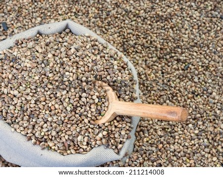 Hemp seeds in a bag with wood spoon