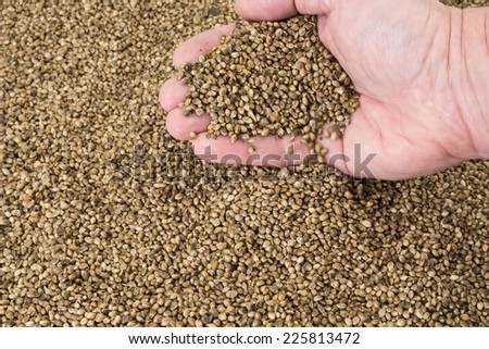 Hand with hemp seeds pouring in full frame hemp