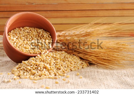 Wheat grains ,Grain of the wheat , whole wheat grains,