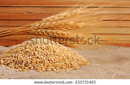 Wheat grains ,Grain of the wheat , whole wheat grains,