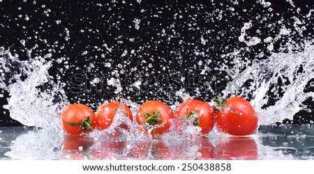 Macro drops of water fall on the red cherry tomatoes and make splash