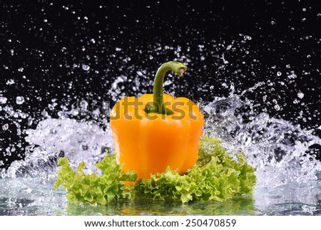 Macro yellow pepper and salad with water drop splash