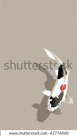 Japanese fish. The vector illustration of sacred Japanese fish. by