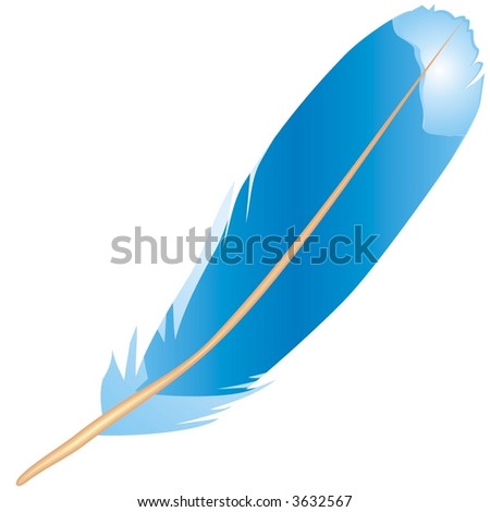 Blue Feather Stock Vector Illustration 3632567 : Shutterstock