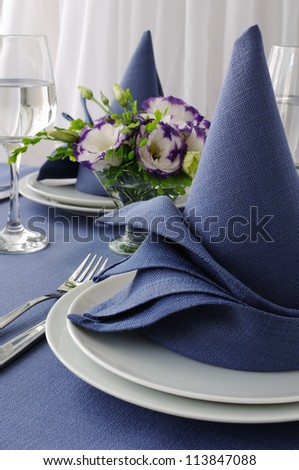 Fragment table setting with a decorative folded napkin