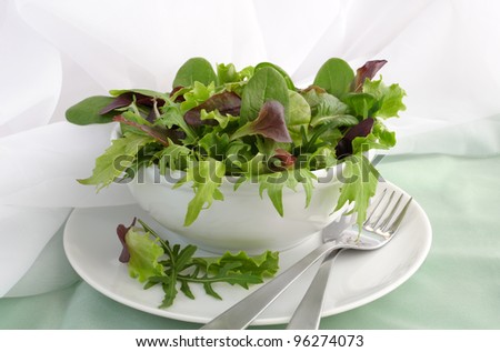 Mix of different varieties of lettuce (spinach, chard, Biondi, arugula, lettuce)