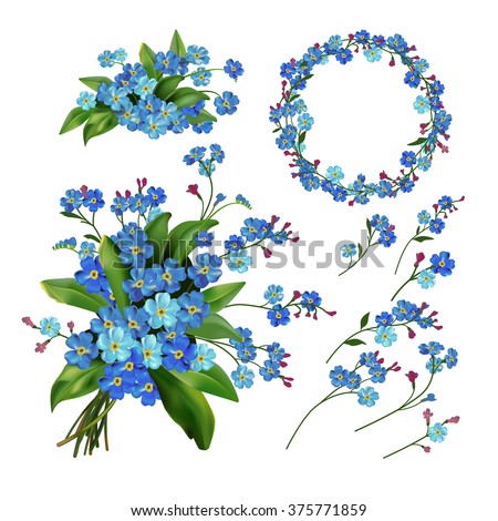 The set of Spring Flowers. Forget me not flowers. Spring vector illustration. Spring flowers isolated on white background. Single flower, wreath, bunch and bouquet flowers.