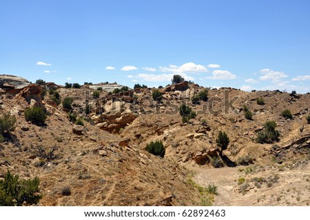 New Mexico Desert