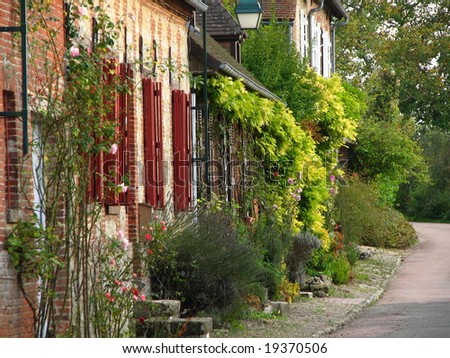 old street with house front covered by plants