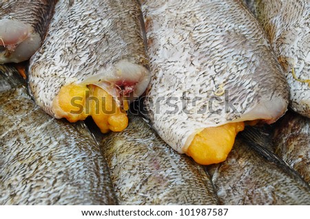 Fish With Fish Roe