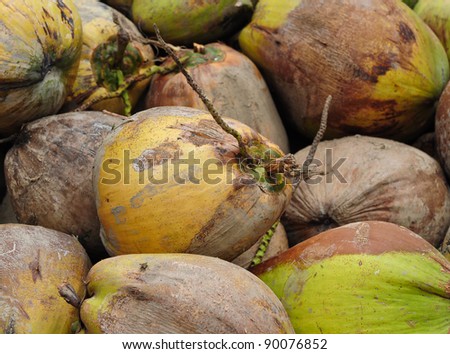 Coconut pile waiting to be processed