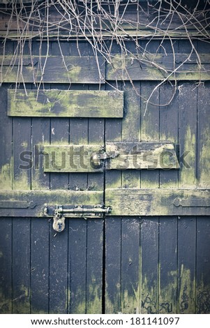 Old and weather beaten wooden doors padlocked shut